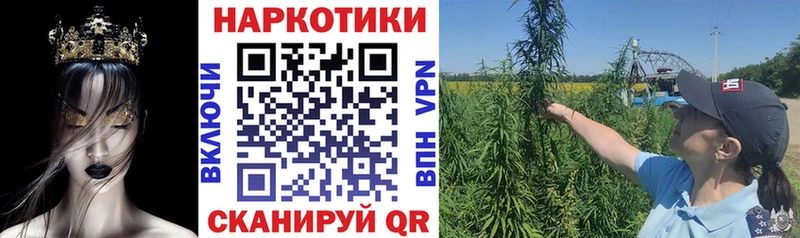 Продажа наркотиков Терек Alpha-PVP  МЕФ  Гашиш  Канабис  АМФЕТАМИН  Кокаин 