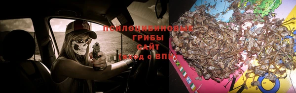каннабис Абаза