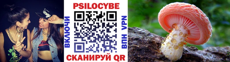 площадка Telegram  Терек  Галлюциногенные грибы Psilocybine cubensis 